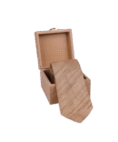 Pure Tusssar Self Woven Design