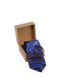 Printed Blue Tie